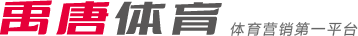 阿斯頓維拉